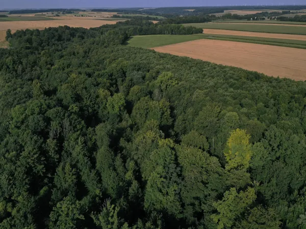 DOMAINE FORESTIER ET CYNÉGÉTIQUE D'EXCEPTION 