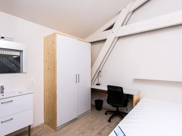 Propose appartement en colocation 