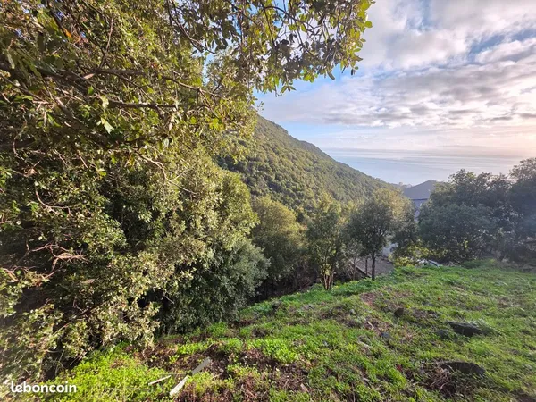 Terrain 316 m2 constructible vue mer Ville Di Pietrabugno Guaitella 