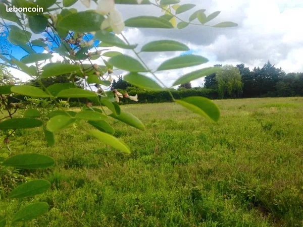 Terrain 489 m² Cavaillon 