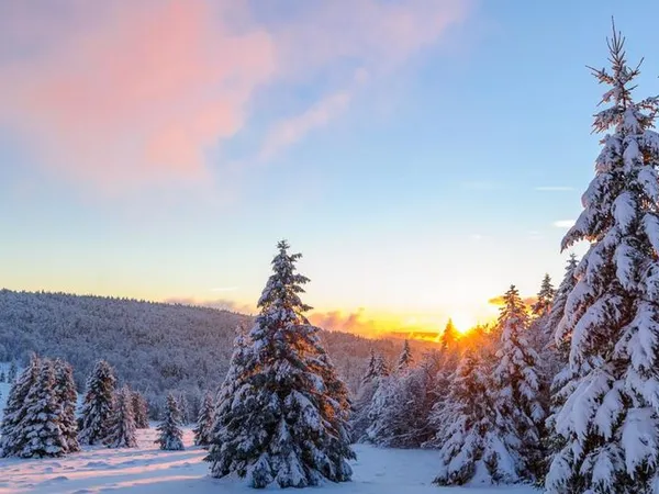 Chalet - Hautes Vosges 