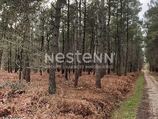 Terrain 40960 m² MOLAC 