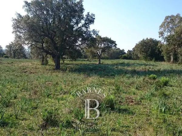 Propriété 145 m² 