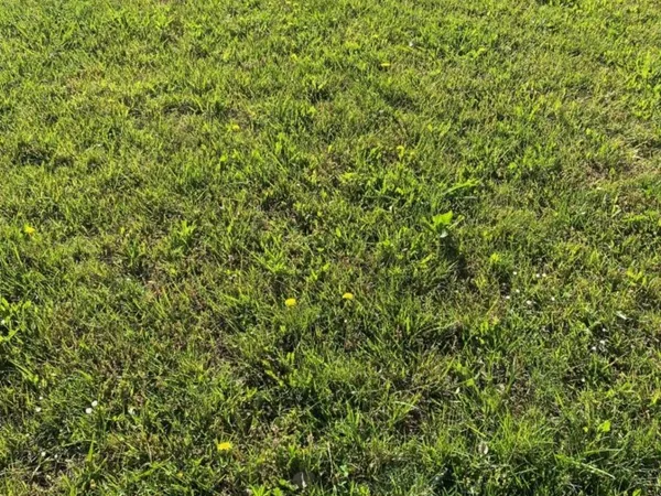 Terrain 630 m² 