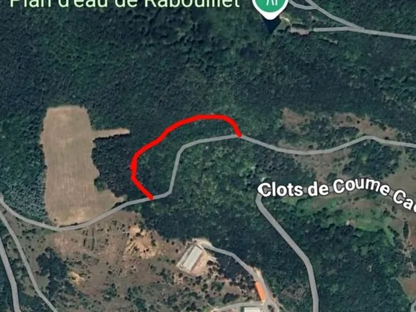 Parcelles de bois 