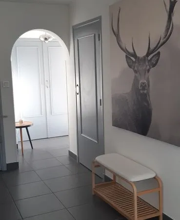 Appartement T3 meublé spacieux et lumineux 