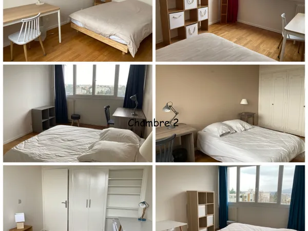 Loue chambre dans appartement 