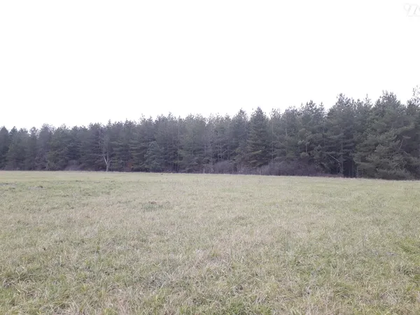 Terrain 50000 m² 