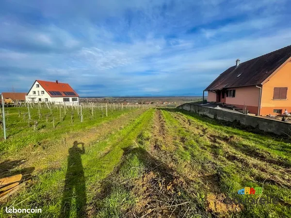 Terrain 1165 m² Gueberschwihr 