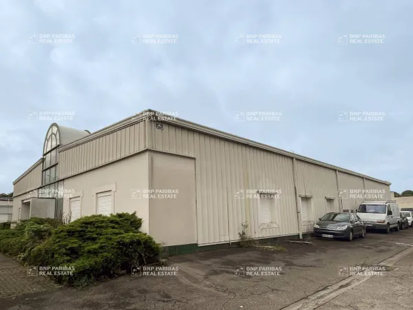 Bureaux 600 m² 