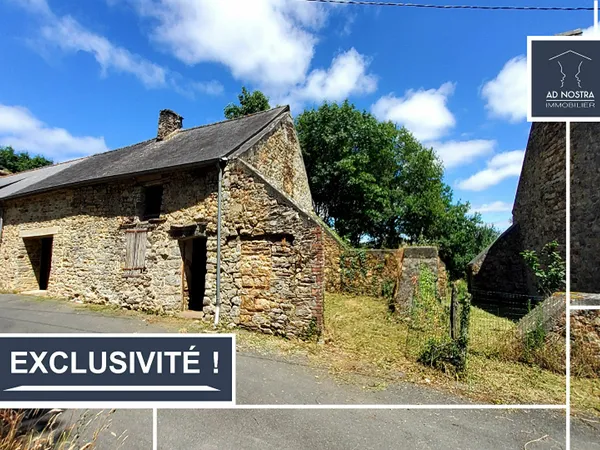 Maison en pierres à rénover BAULON 