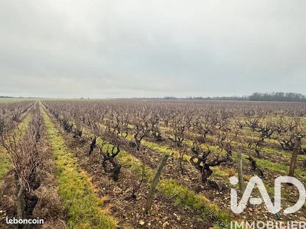 Terrain 39692 m² Vernou-sur-Brenne 