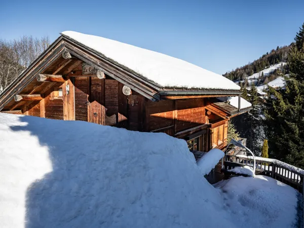 Chalet - Traditionnel & proche pistes 