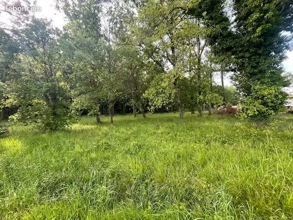 Forêt 600 m² Cadaujac 