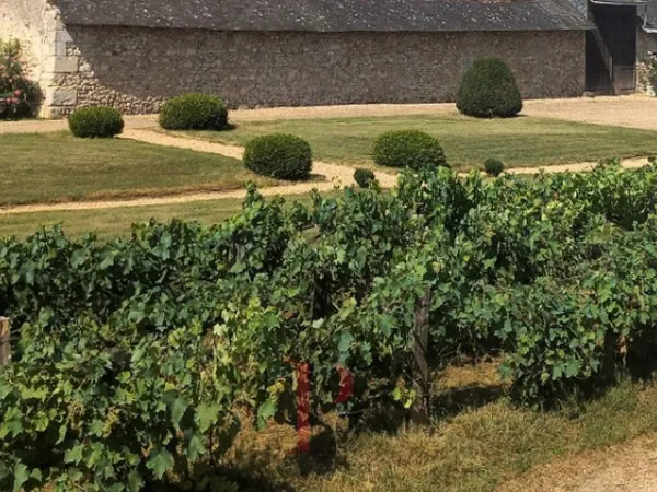 En Indre-et-Loire, à quelques kilomètres de la ville de Tours et 