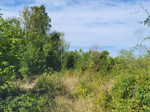 Terrain 772 m² ANGLES-SUR-L'ANGLIN 