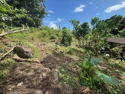 Beau terrain constructible avec ancienne bâtisse à démolir ou à rénové 