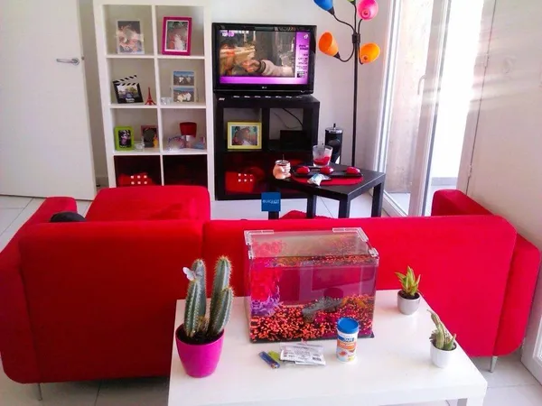 Appartement 3 pièces 56 m² 