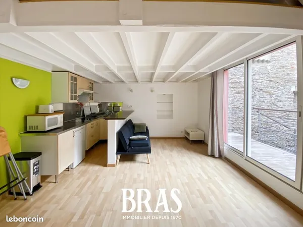 Duplex/Triplex 1 pièce 26 m² 