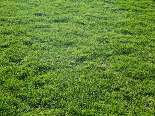 Terrain 244 m² 