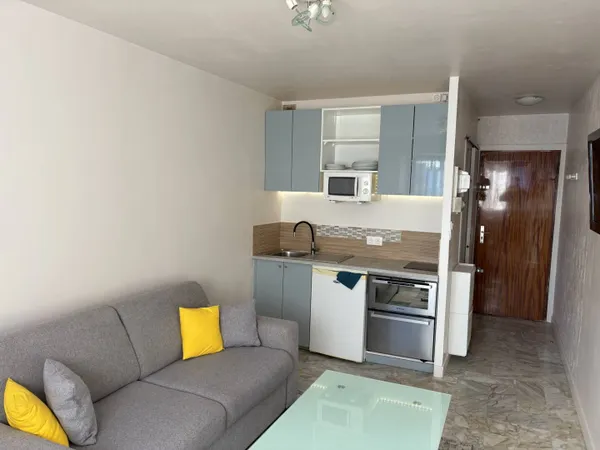 Appartement 1 pièce 19 m² 