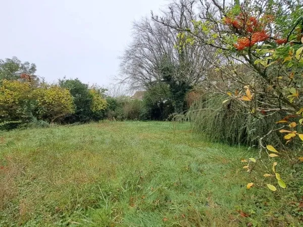 Terrain 490 m² 