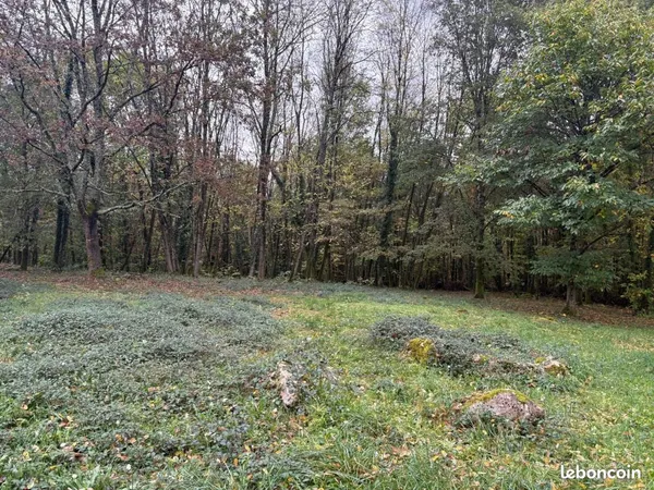 Terrain 2 300 m² Sarliac Sur L Isle 