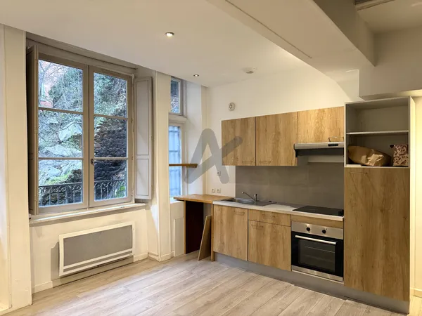 Appartement T1bis/T2 - Prox place Sathonay 