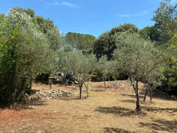Terrain 900 m² 