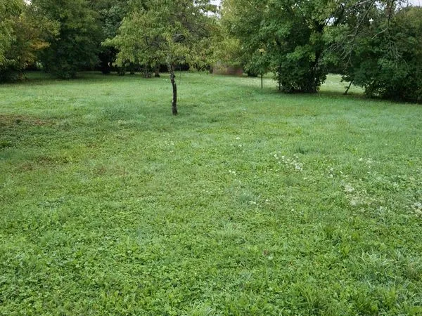 Terrain 2339m2 Damparis 