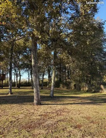 Terrain 1300 m² 