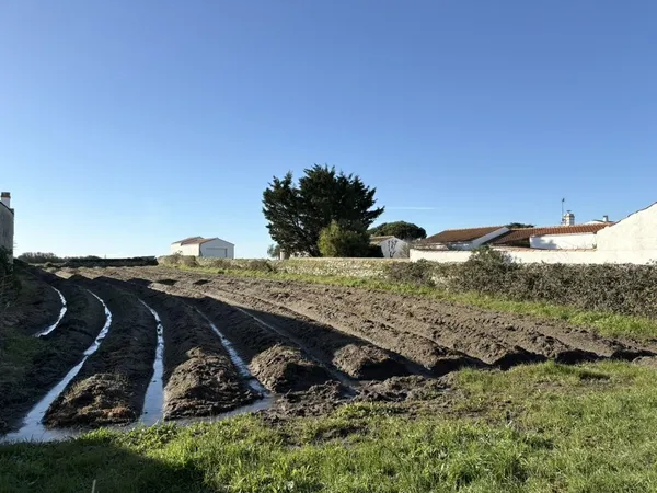 À VENDRE TERRAIN A BÂTIR NOIRMOUTIER - LE VIEIL 