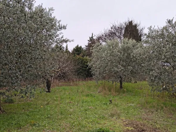 Terrain 507 m² 