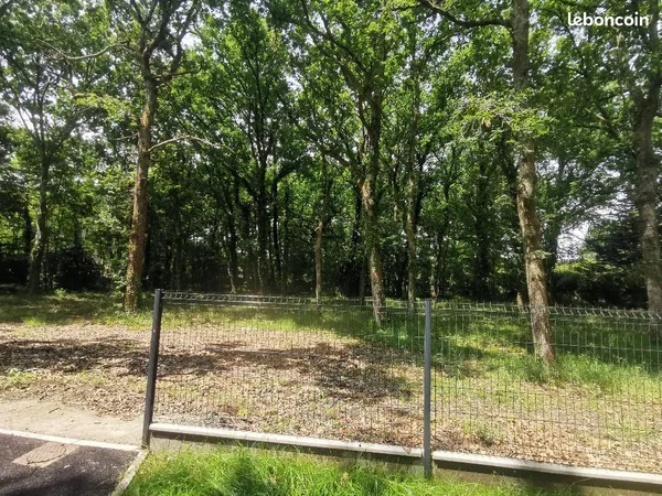 Terrain 435 m² Hourtin 