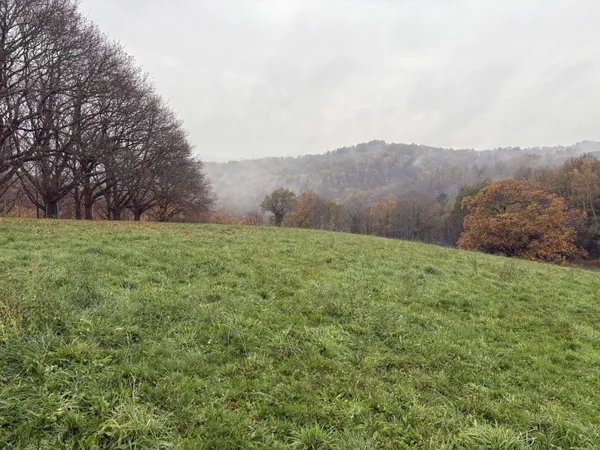 Proche du bourg de Vignols 