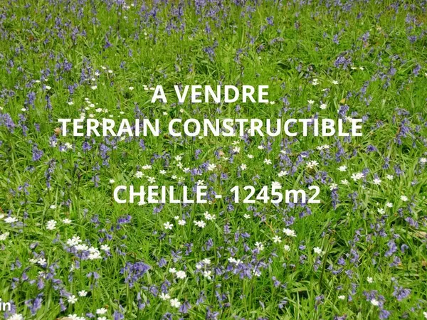 Terrain 1245 m² Cheillé 