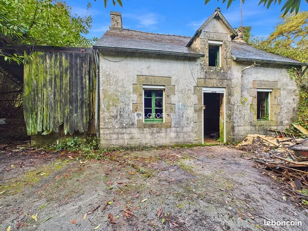 Propriété 2 pièces 53 m² 