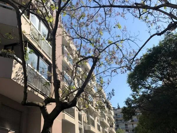Appartement 1 pièce 30 m² 