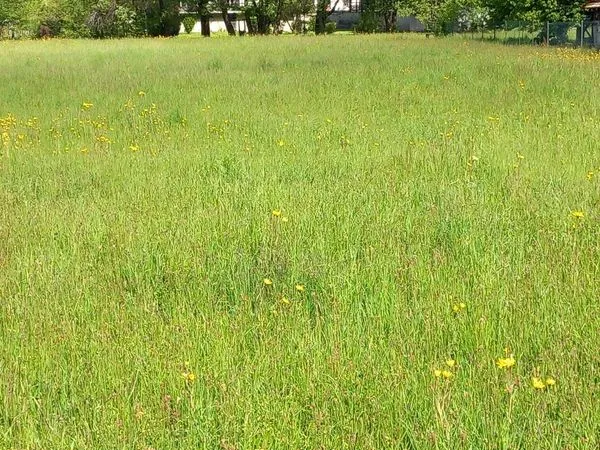 Terrain 810 m² Grignon 