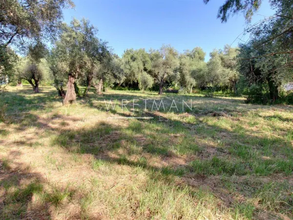 Propriété 400 m² 