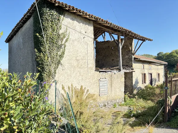 SECTEUR SALIES DU SALAT FERMETTE AVEC DEPENDANCES A RENOVER ENTI 