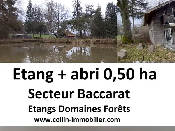 Terrain 5000 m² Baccarat 