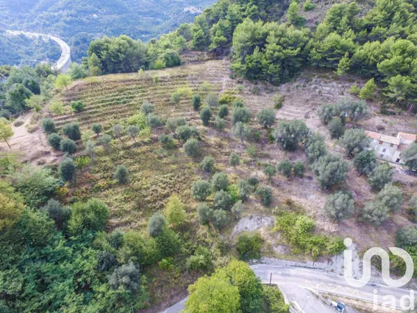 Propriété 800 m² 