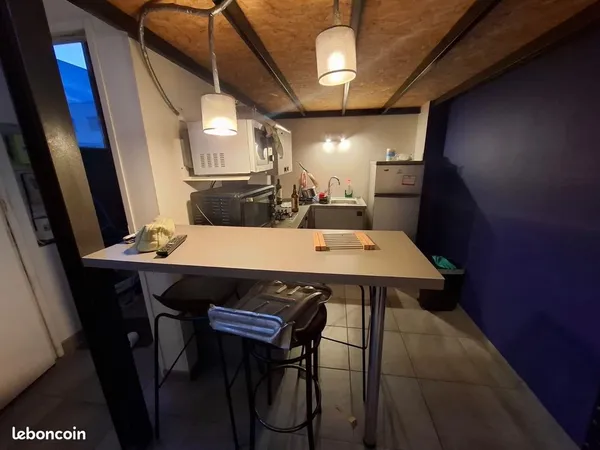 Petit studio coeur de lyon 