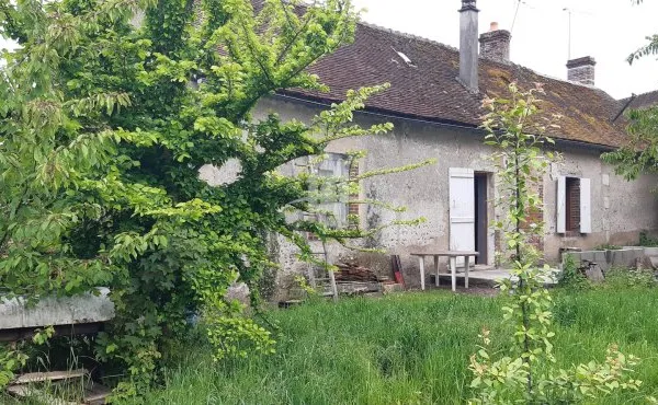 Longere de 3 Gites secteur Briare a Breteau 45250