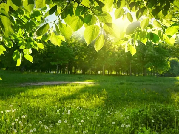 Terrain 500 m² 