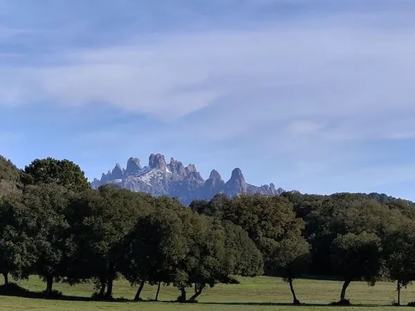 Terrain 490 m² San Gavino Di Carbini 