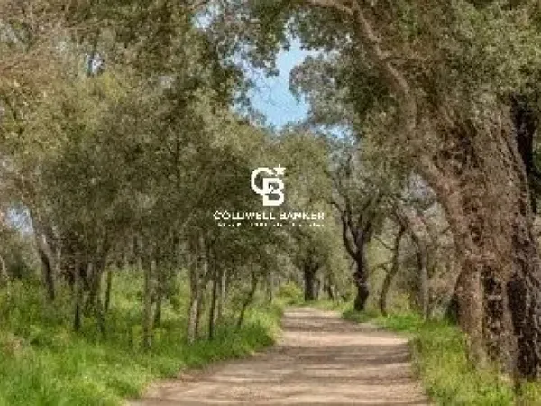 Écrin de nature et d'authenticité dans le Golfe de Saint-Tropez 