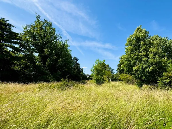 Vends terrain 