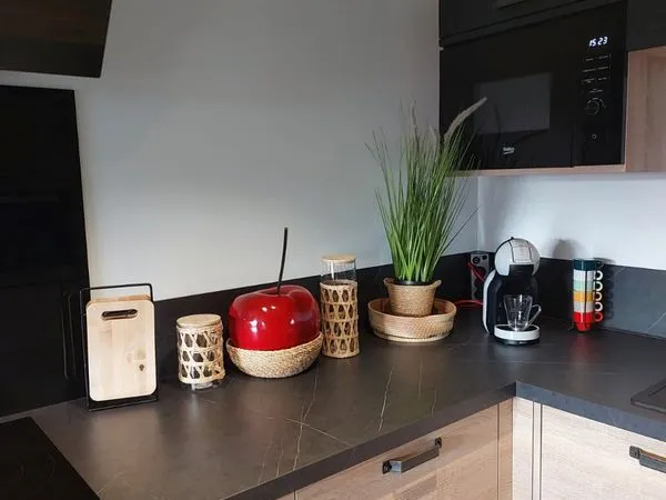 Appartement meublé 